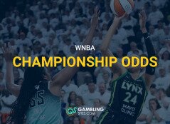 wnba champ