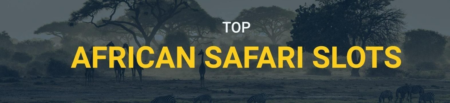 african safari slots
