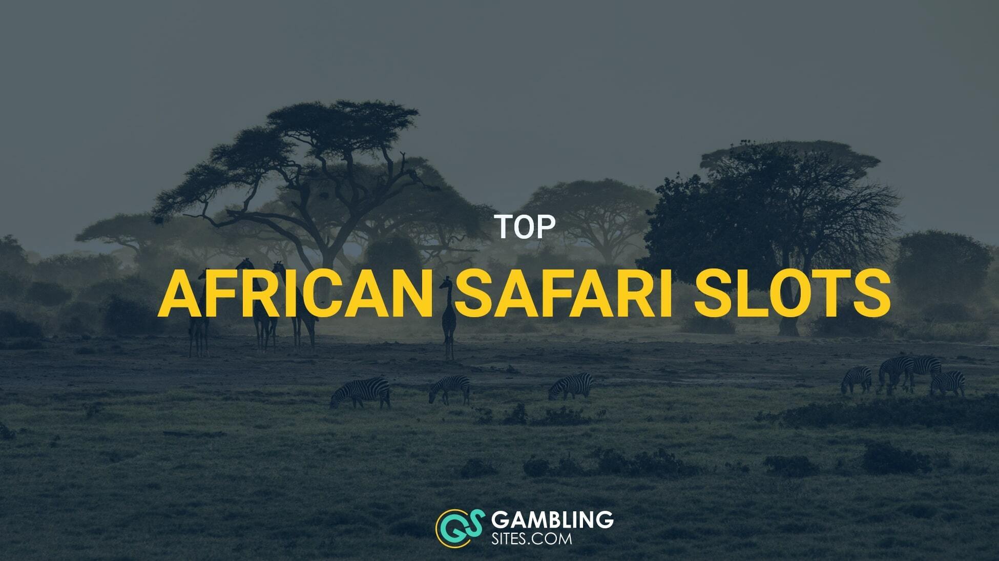 Top #5 African Safari Slots to Play Online