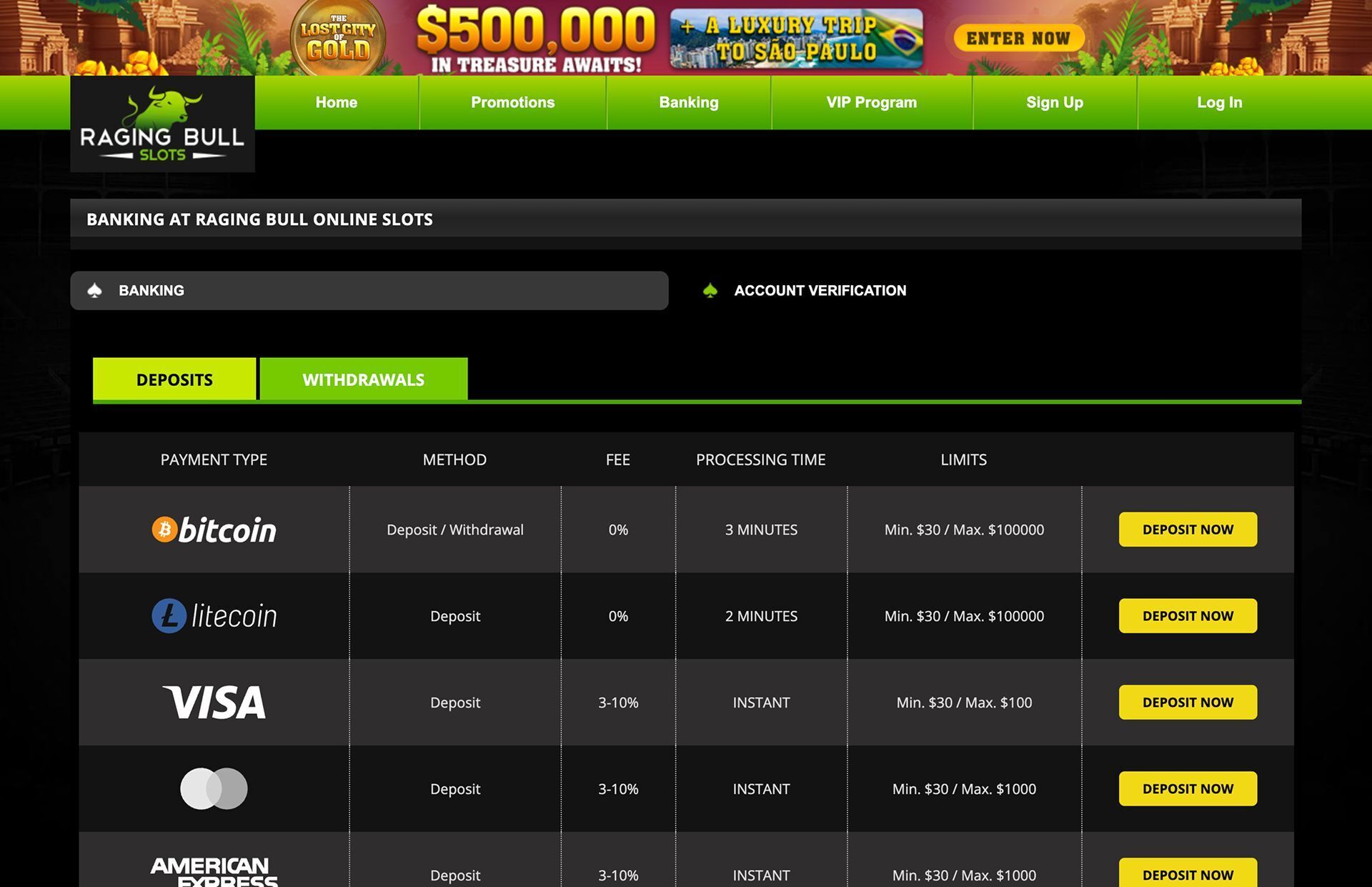 Raging Bull Slots Payments Page Screenshot