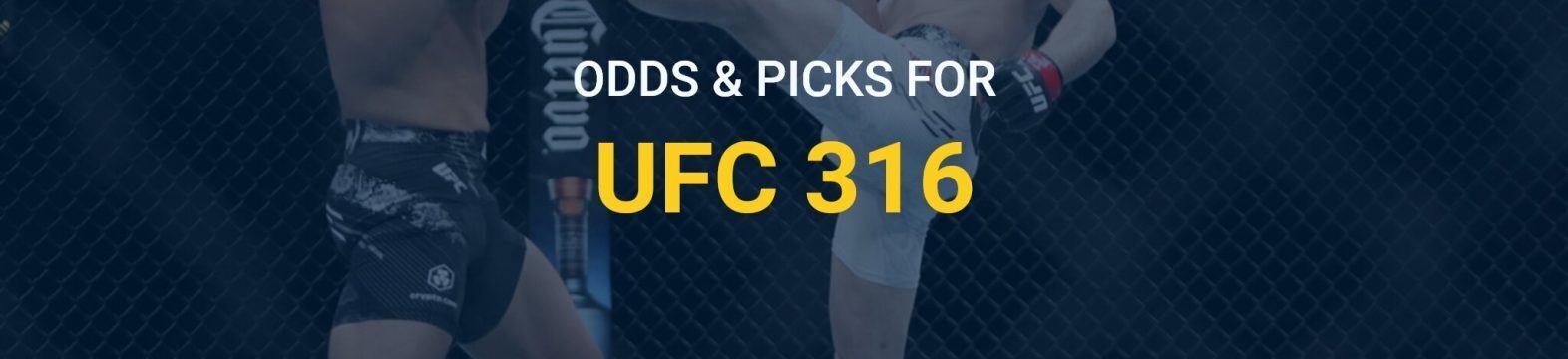 ufc 316