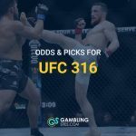 ufc 316