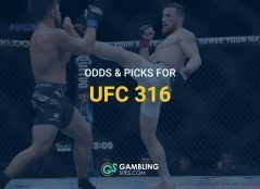 ufc 316