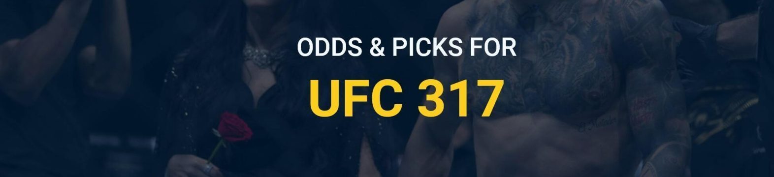 ufc 317 blog