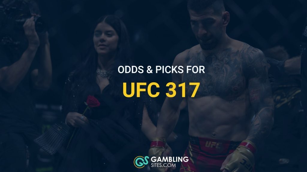 ufc 317 blog