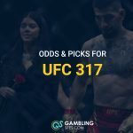 ufc 317 blog