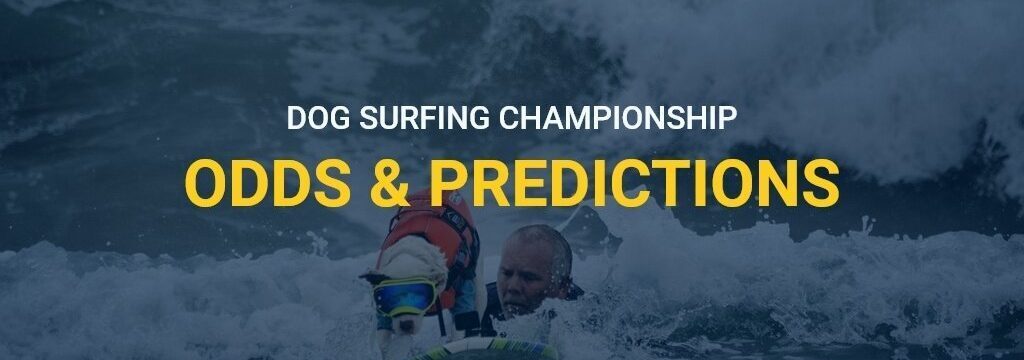 dogsurfing