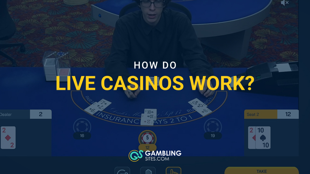Guide to How Live Casinos Work