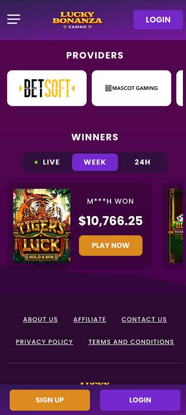 Lucky Bonanza Mobile Providers Page Screenshot