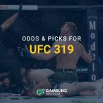 Dricus du Plessis ufc fight