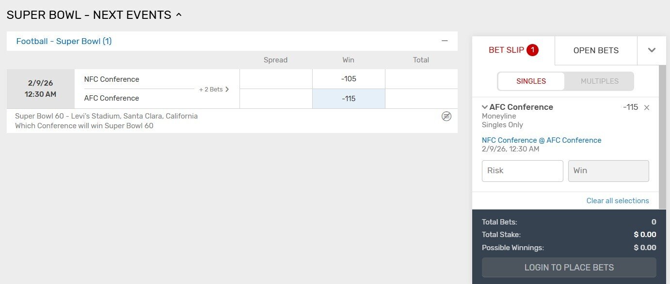 super bowl betslip on Bovada