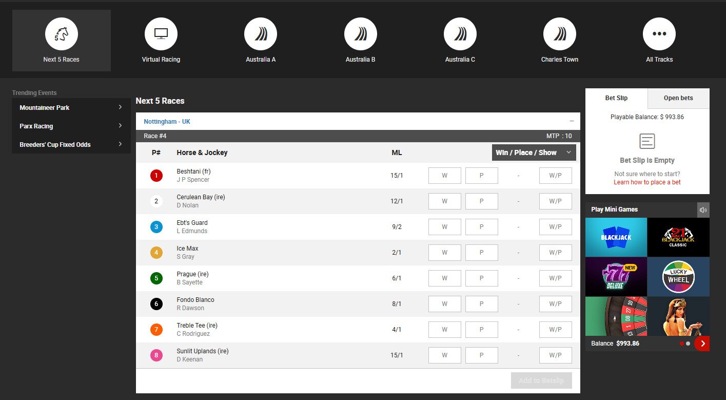 Bodog Horse Racing screen shot