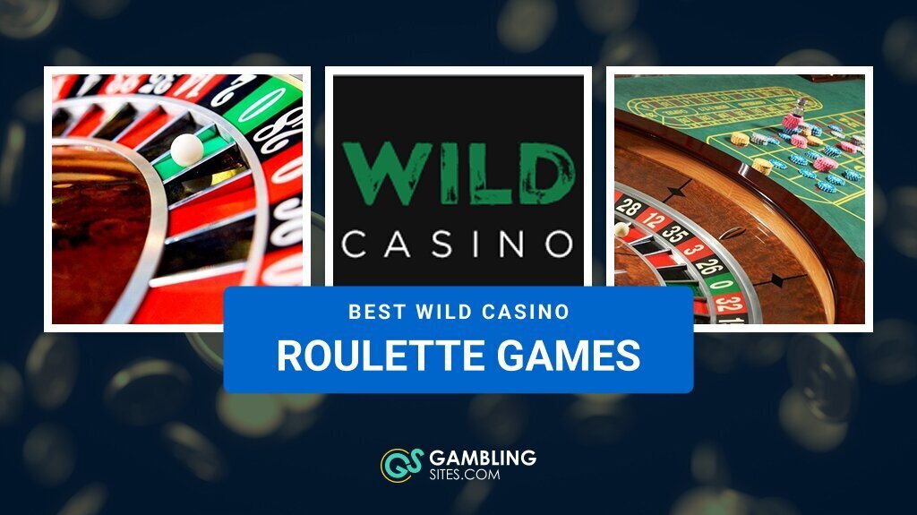 5 Best Wild Casino Roulette Games
