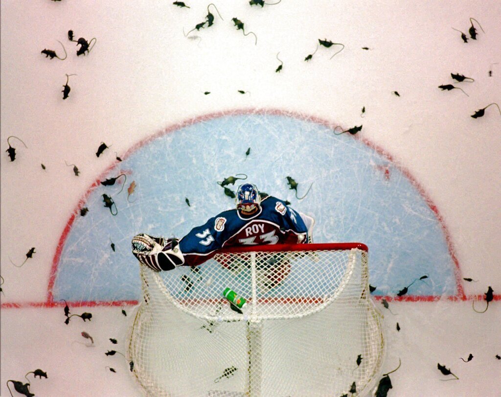 Colorado Avalance goalie Patrick Roy