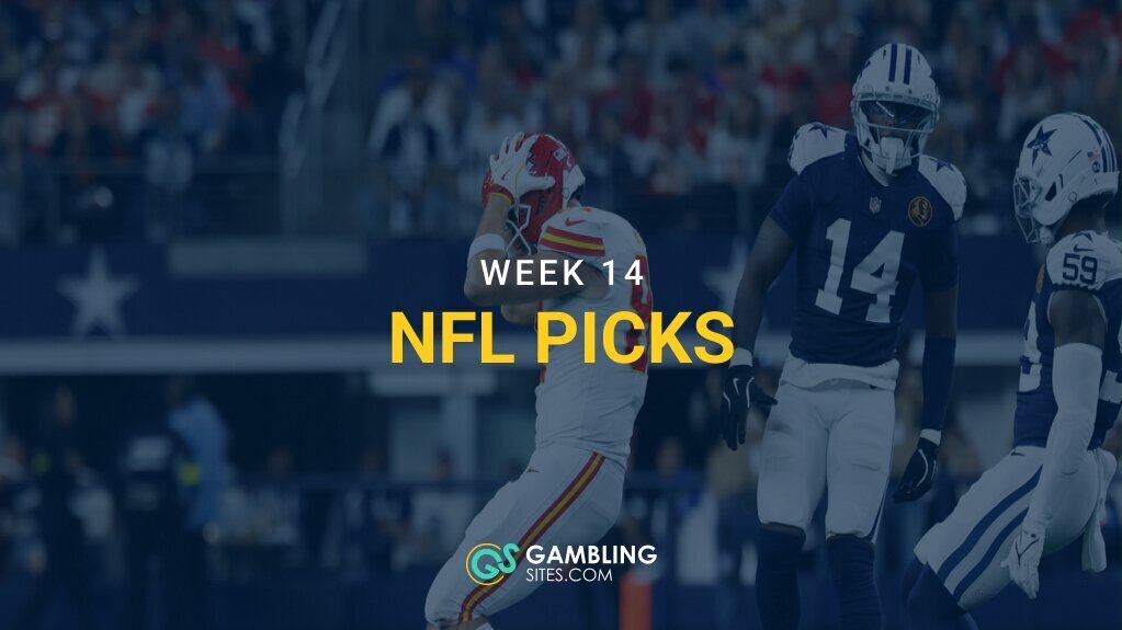 NFL Picks for Week 14 (2025)