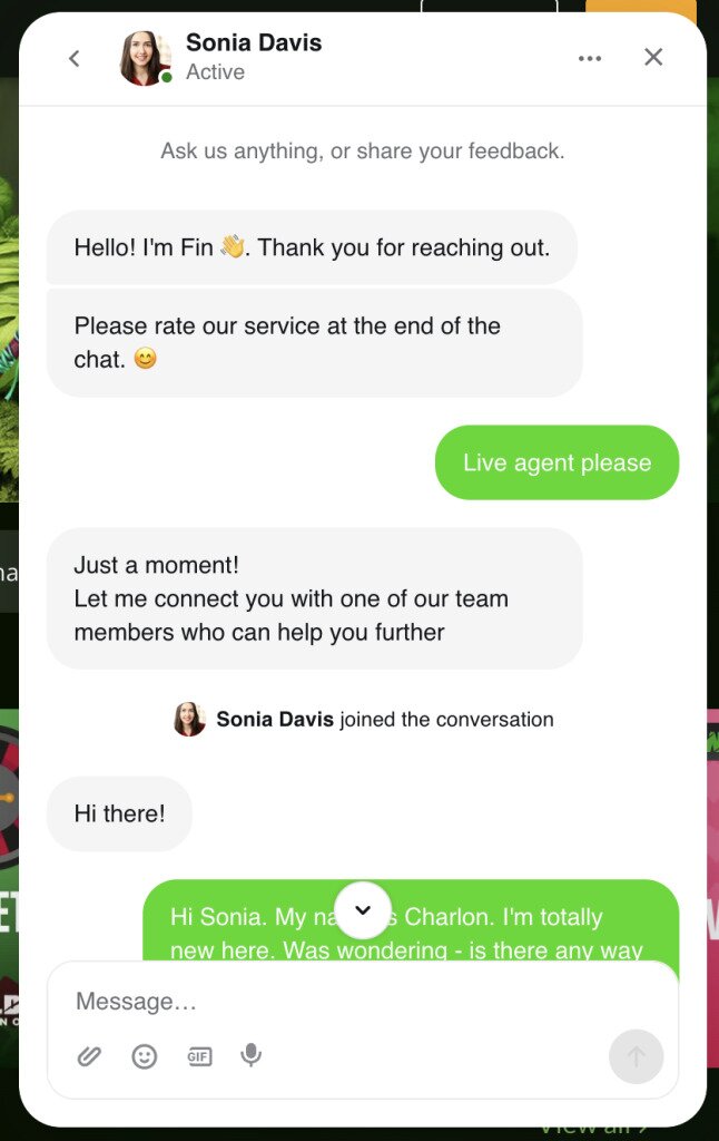 Wild Casino Customer Support conversation 1