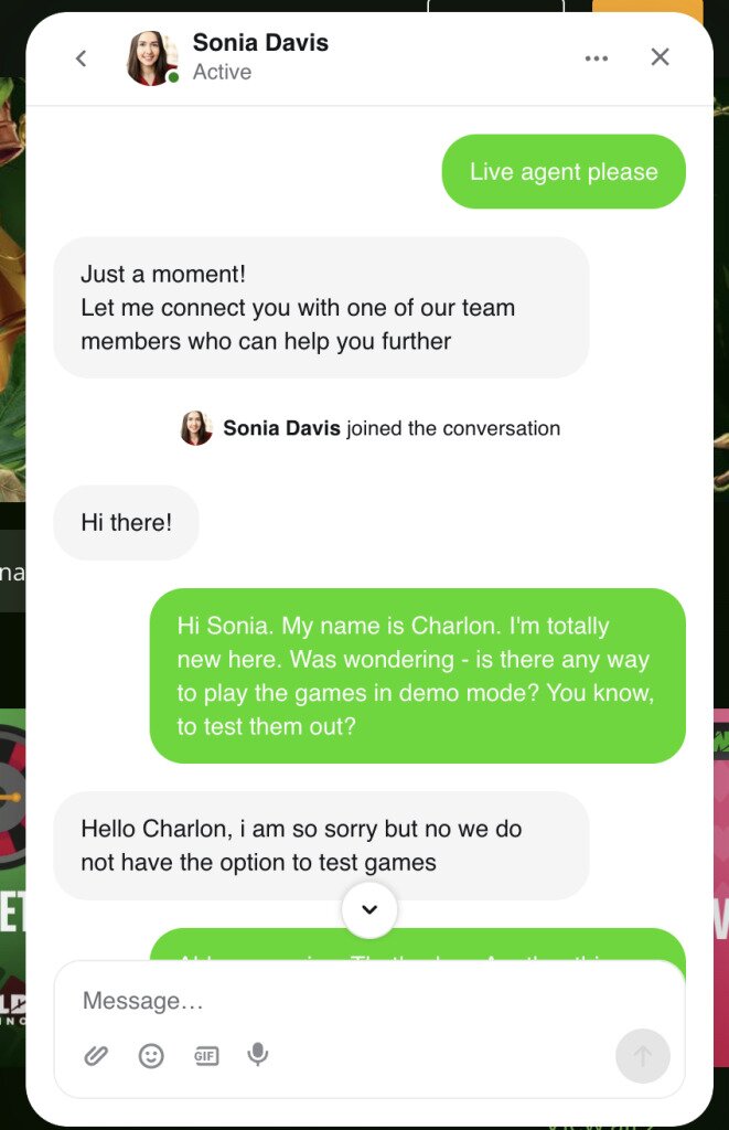 Wild Casino Customer Support conversation 2